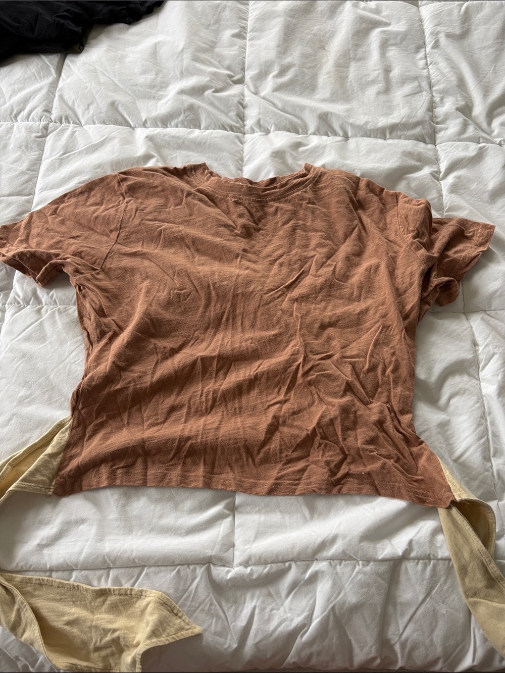 Buckle Short-Sleeve Crop Tee in Rust